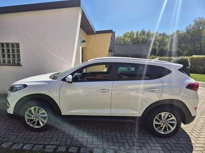 Usata Hyundai Tucson Intro Edition 116 CV (85 kW) 2016 Bianco SUV