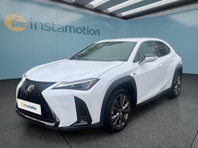 Gebraucht Lexus UX 250h Sport Line 184 PS (135 kW) 2024 Weiß SUV