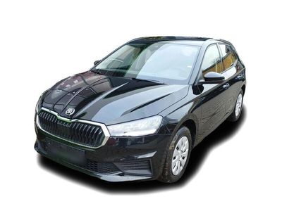 gebraucht Skoda Fabia Clever