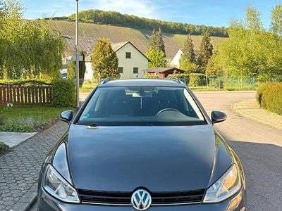 Usata VW Golf VII 110 CV (80 kW) 2015 Grigio Station wagon