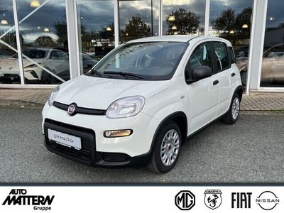 gebraucht Fiat Panda MY23 Hybrid 1.0 GSE Klima/ PDC/ uvm. - Auto Mattern