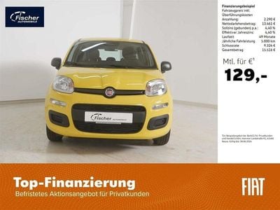 Neu Fiat Panda Icon 69 PS (50 kW) 2025 Positano gelb Limousine