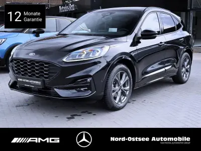 Gebraucht Ford Kuga ST-Line X 150 PS (110 kW) 2024 Obsidianschwarz metallic SUV