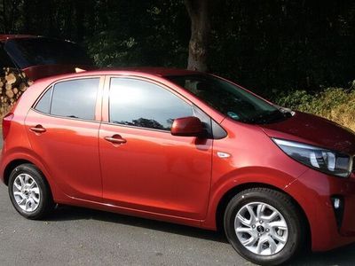 gebraucht Kia Picanto 1.2 Dream-Team Edition Dream-Team Ed...