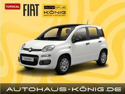 Neu Fiat Panda 70 PS (51 kW) 2026 Weiß (gelato weiß / schwarzes dach) Kleinwagen