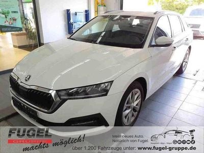 Candyweiss Gebraucht 2022 Skoda Octavia Ambition Kombi | 21.999 € (Guter Preis)