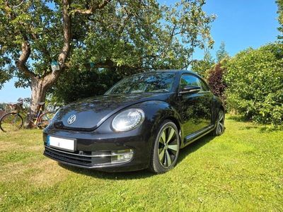 VW Beetle