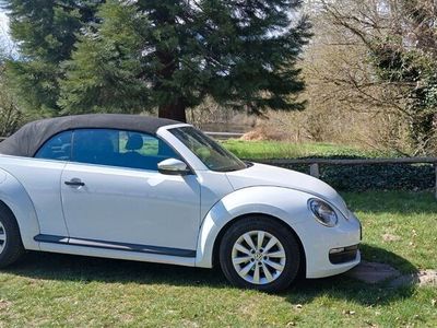 VW Beetle