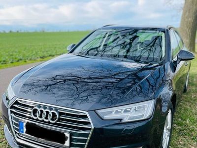 gebraucht Audi A4 2.0 TDI 140kW S-tronic design MATRIX/AHK/SHZ