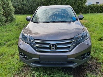 gebraucht Honda CR-V 2.2 i-DTEC 4WD Executive Automatik Exec...