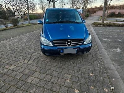 Mercedes Viano