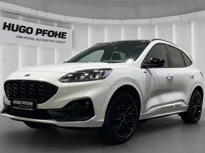 Gebraucht Ford Kuga ST-Line X 224 PS (164 kW) 2023 Weiß SUV