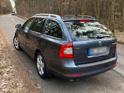 gebraucht Skoda Octavia 