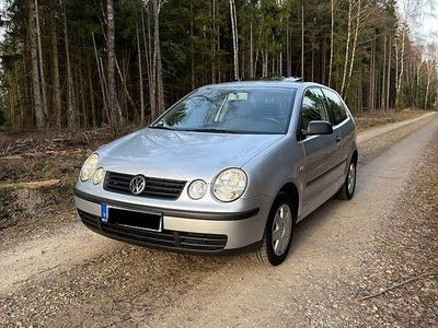 Gebraucht VW Polo Basis 54 PS (39 kW) 2003 Silber Limousine
