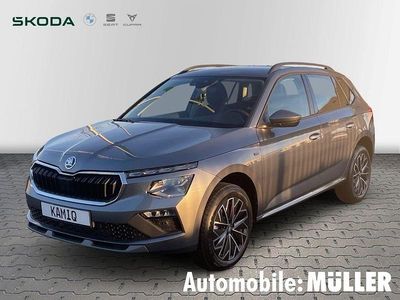 Grau Neu 2025 Skoda Kamiq Clever SUV | 29.890 € (Teuer)