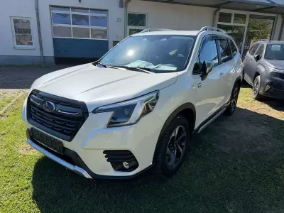 Gebraucht Subaru Forester