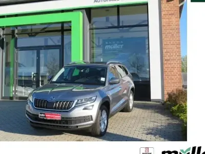 Gebraucht Skoda Kodiaq Style 150 PS (110 kW) 2019 Grau SUV