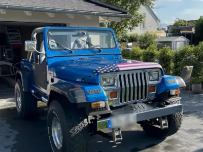 Gebraucht Jeep Wrangler 125 PS (91 kW) 1994 Blau SUV