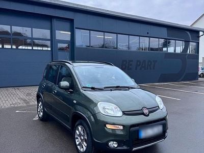 Occasion Fiat Panda 4x4 Rock 85 ch (62 kW) 2016 Vert Citadine