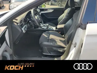 Gebraucht Audi A5 Sportback Business 164 PS (120 kW) 2023 Gletscherweiß metallic Kleinwagen
