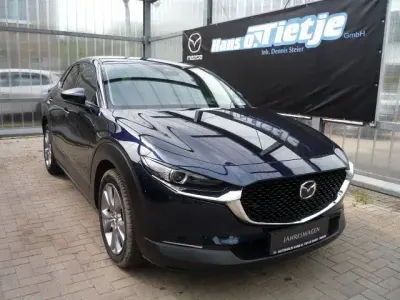 Gebraucht Mazda CX-30 Center-Line 140 PS (102 kW) 2025 Deep crystal blue SUV