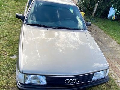 gebraucht Audi 100 c3 Typ 44 5 Zylinder mit H- Kennzeichen