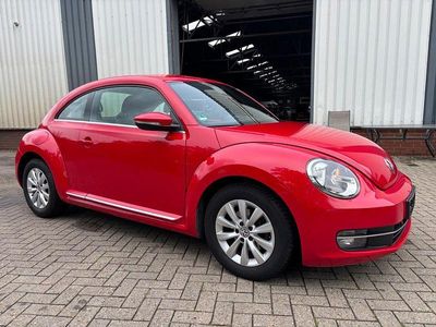 VW Beetle