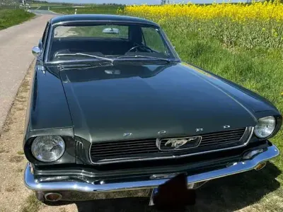 Gebraucht Ford V8 200 PS (147 kW) 1966 Grün