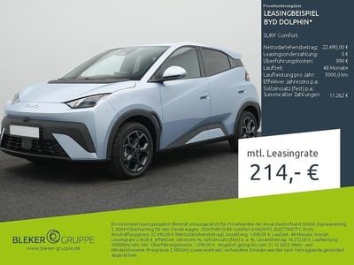 Ice blue Gebraucht 2025 BYD Dolphin Surf Comfort Kleinwagen | 22.490 € (Guter Preis)