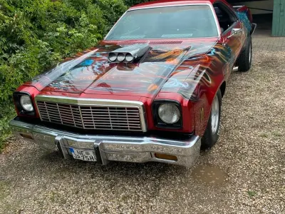 Gebraucht Chevrolet El Camino 200 PS (147 kW) 1975 Rot