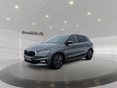 Grau Gebraucht 2025 Skoda Fabia Tour Limousine | 23.990 € (Teuer)