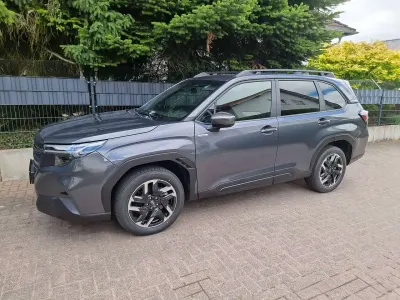 Gebraucht Subaru Forester