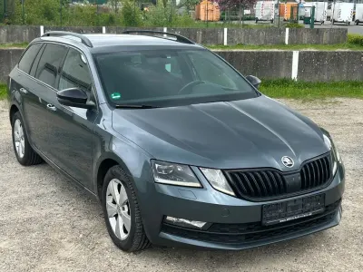 Gebraucht Skoda Octavia Style 150 PS (110 kW) 2020 Grau Kombi