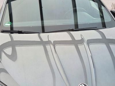 Gebraucht Skoda Fabia Monte Carlo 110 PS (80 kW) 2024 Grau Kleinwagen