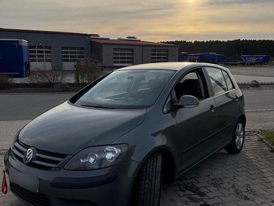 Gebraucht VW Golf Plus Cross 116 PS (85 kW) 2006 Grau Van / Kleinbus