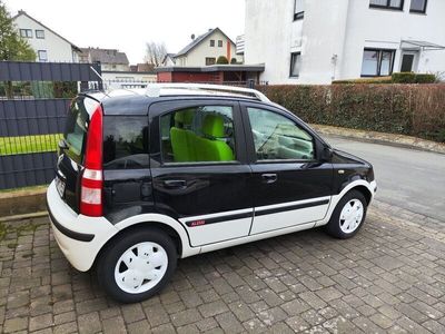 gebraucht Fiat Panda Panda1.2 Alessi