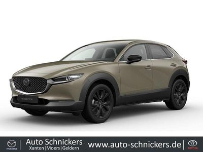 Neu Mazda CX-30 Homura-Line 140 PS (102 kW) 2025 Beige SUV