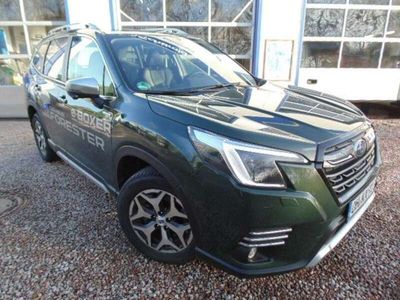 gebraucht Subaru Forester Platinum **Dunkelgrün**Allrad**Aut.**Leder**