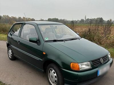 VW Polo