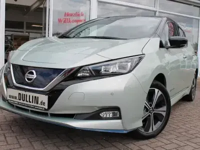 Gebraucht Nissan Leaf Tekna 160 kW (218 PS) 2019 Grün Kleinwagen