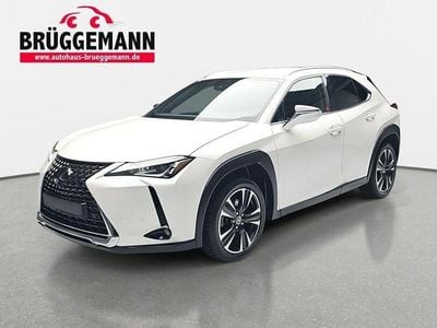 Gebraucht Lexus UX 145 PS (106 kW) 2020 Weiß SUV
