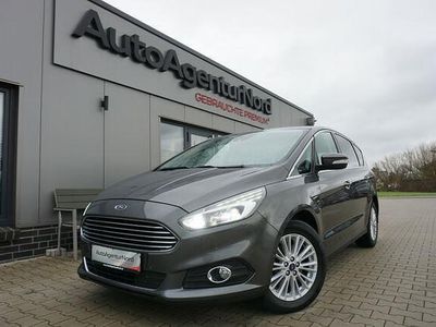 Usata Ford S-MAX Titanium 150 CV (110 kW) 2019 Grigio Monovolume