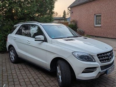 Gebraucht Mercedes ML250 204 PS (150 kW) 2013 Weiß SUV
