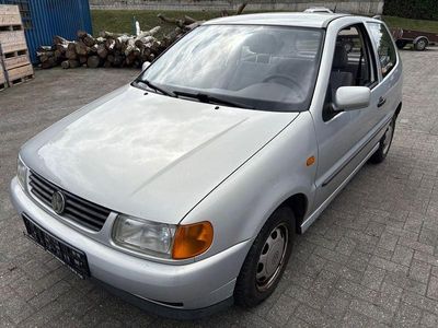 VW Polo