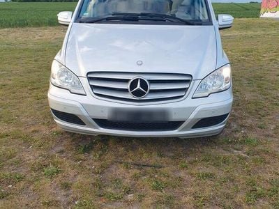 Mercedes Viano