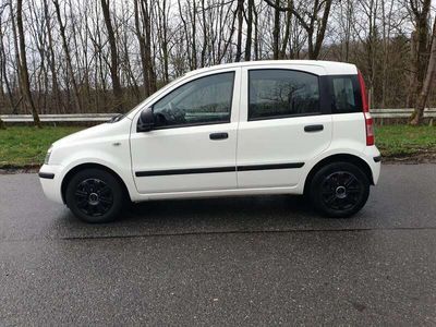 gebraucht Fiat Panda 169 AXF1A 08