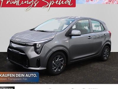 Neu Kia Picanto Vision 68 PS (50 kW) 2026 Grau Kleinwagen
