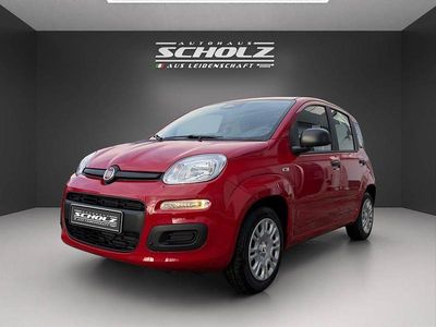 Neu Fiat Panda Icon 65 PS (47 kW) 2025 Rot Kleinwagen
