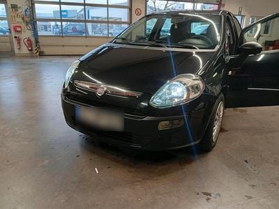 Usata Fiat Punto 76 CV (55 kW) 2011 Utilitaria