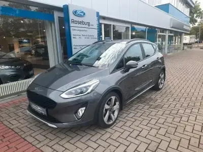 Usata Ford Fiesta Active 125 CV (91 kW) 2019 Grigio Utilitaria